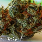 Candyland